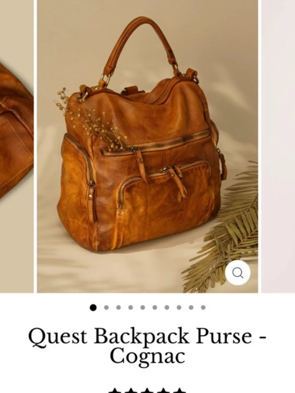 Lusher.co Quest Brown Backpack Purse
